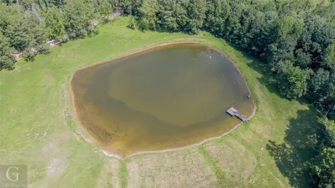453 Britnell Rd, Coushatta, LA 71019 photo 34