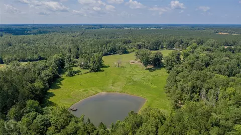 453 Britnell Rd, Coushatta, LA 71019 photo 36