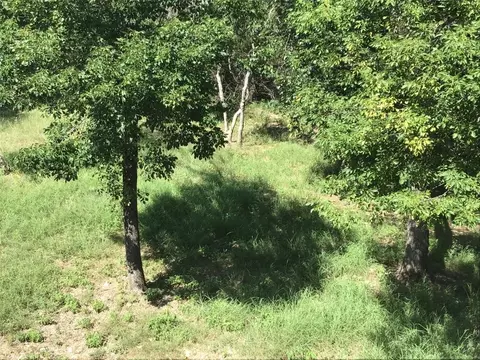 10055 Bluffview Ct, Whitney, TX 76692