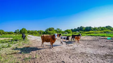 Tbd Contrary Creek Road, Granbury, TX 76048