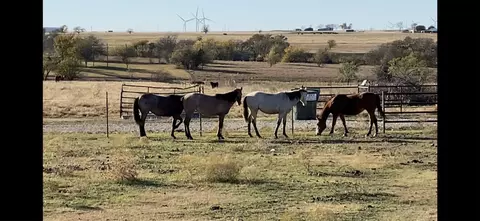 Tbd2 County Rd 322, Valley View, TX 76272