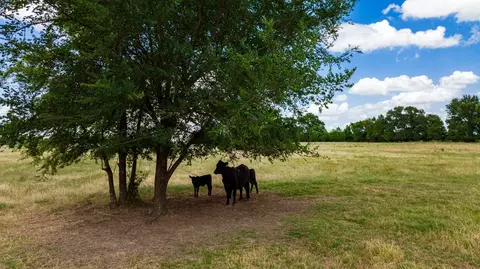 000 Fm 316, Eustace, TX 75124 photo 5