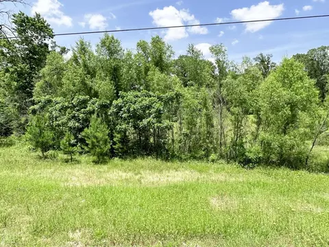 Tr 2 Lee Road, Murchison, TX 75778
