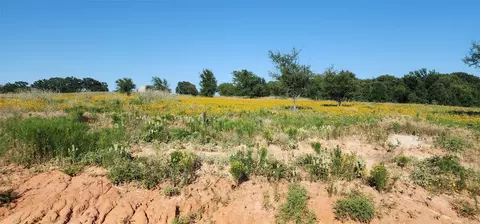 1084 Gonzollas Rd, Springtown, TX 76082