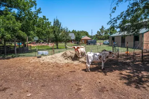 1730 Dogpatch Dr, Terrell, TX 75161 photo 36