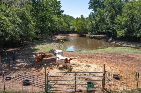 1730 Dogpatch Dr, Terrell, TX 75161 photo 35