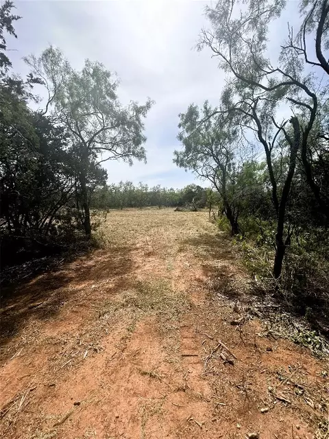 1209 County Road 127, Tuscola, TX 79562