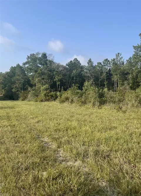 Tbd Cr 2846, Colmesneil, TX 75938