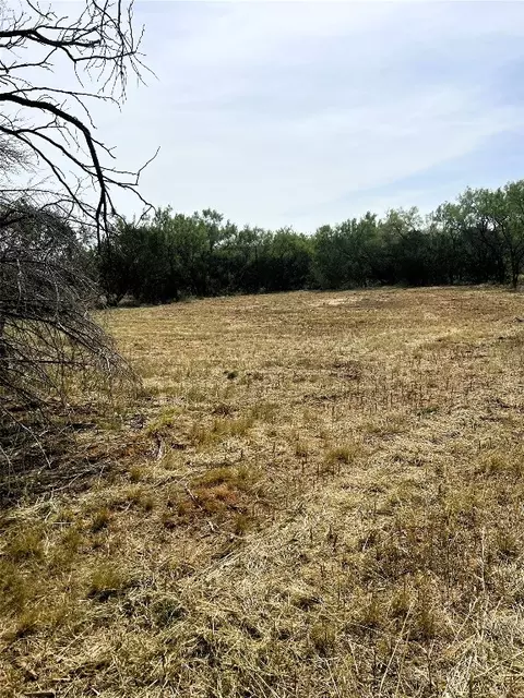 1217 County Road 127, Tuscola, TX 79562