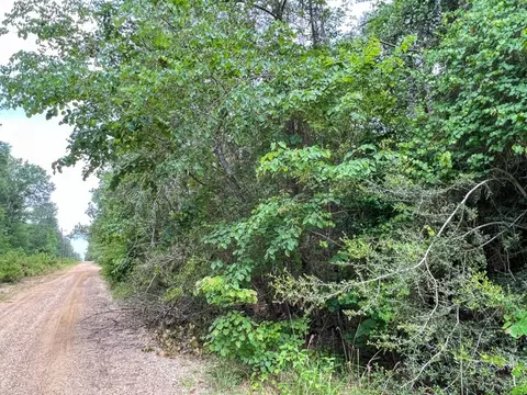 005 Old Arco Rd, Silsbee, TX 77656 photo 6