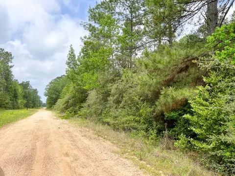 005 Old Arco Rd, Silsbee, TX 77656 photo 8