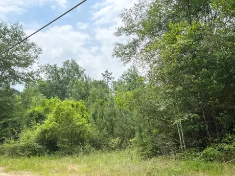 005 Old Arco Rd, Silsbee, TX 77656 photo 3