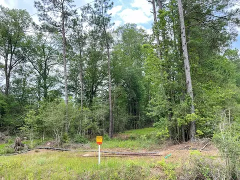 005 Old Arco Rd, Silsbee, TX 77656 photo 5