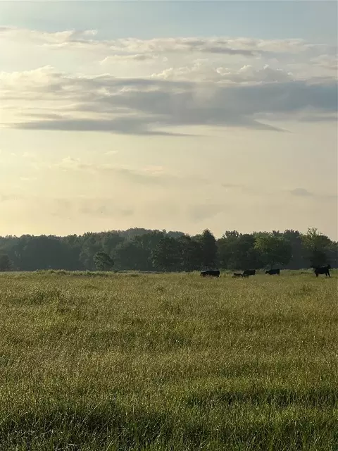 Tbd County Road 4265, De Kalb, TX 75559