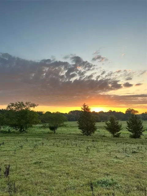 Tbd County Road 4265, De Kalb, TX 75559