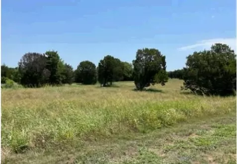 7125 S Monticello Dr, Cleburne, TX 76033