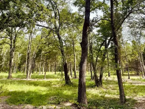 Tbd Vzcr 2205, Canton, TX 75103