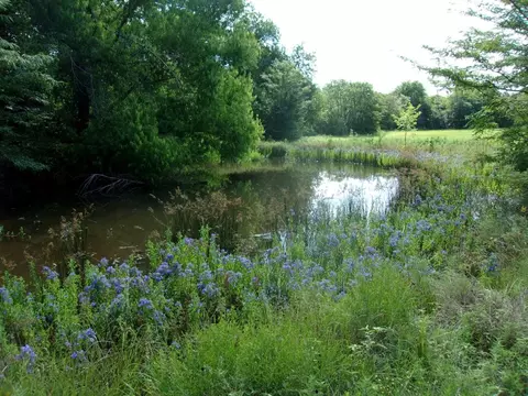 Tbd County Road 4763, Sulphur Springs, TX 75482