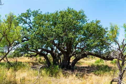Tbd Fm 2132, Talpa, TX 76882