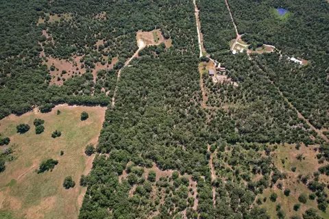 Tbd Cr 442, Teague, TX 75860