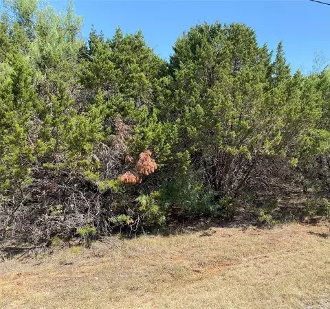 32015 Dove Trl, Whitney, TX 76692