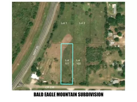 lot101 County Rd 238, Ovalo, TX 79541