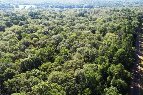 tbd Cr 2344, Tyler, TX 75707