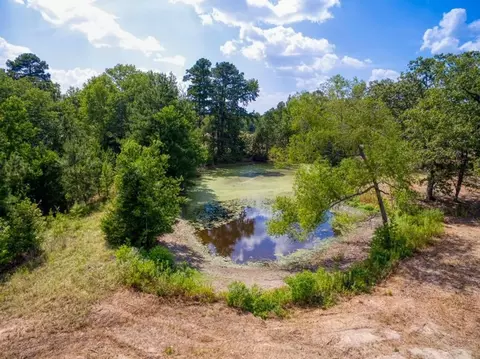 337 An County Road 1635, Palestine, TX 75801