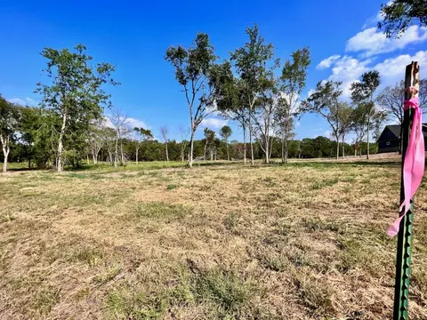 Lot 9 SE County Road 3140, Corsicana, TX 75109