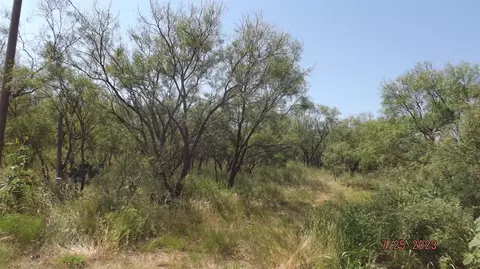 Tbd County Road 182, Hamlin, TX 79520