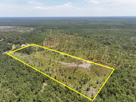 1 Private Road 7129, Burkeville, TX 75933