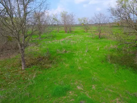14804 Stringtown Rd, Rogers, TX 76569 photo 16