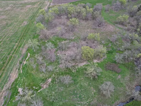 14804 Stringtown Rd, Rogers, TX 76569 photo 24