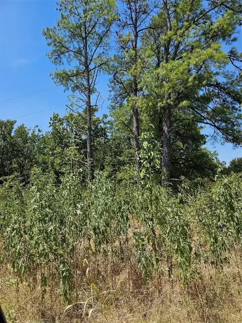 Tbd County Road 2230, Wortham, TX 76693