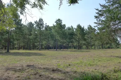 Tbd Finch Road, Gilmer, TX 75644