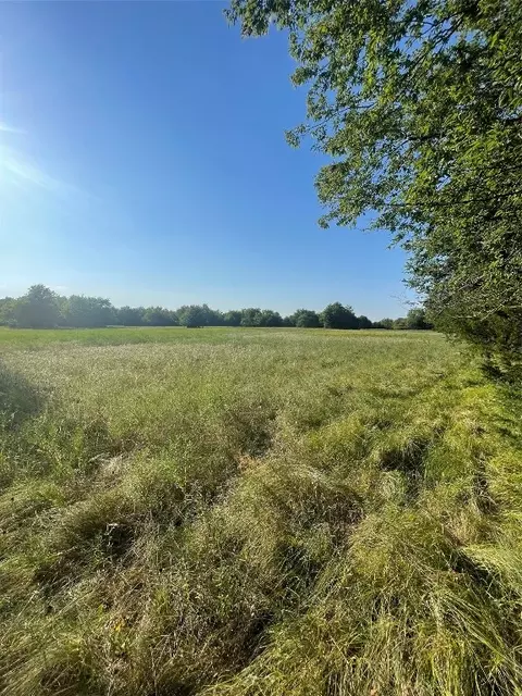 0003 Cr 3230, Ben Franklin, TX 75415