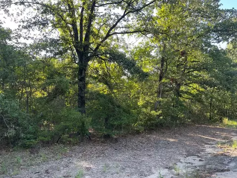 Lot 47 Cr Se 4298, Scroggins, TX 75480