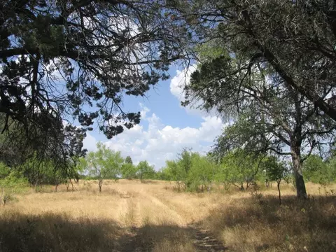 200 Blk Bull Branch Rd, Purmela, TX 76566
