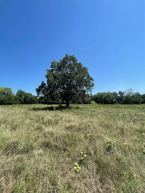 0004 Fm 128, Ben Franklin, TX 75415