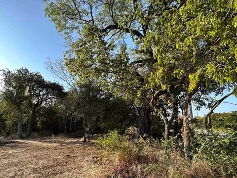 915 Wildwood Ln, Grapevine, TX 76051