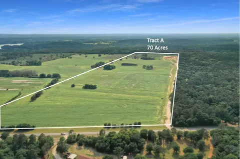 Tbd Fm 2869, Winnsboro, TX 75494