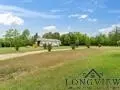8449 Lizard Rd, Gilmer, TX 75644 photo 3