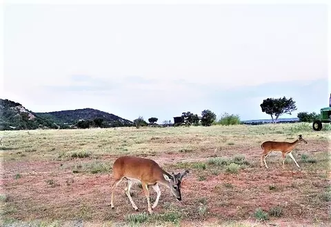 2 Red Stone Loop, Abilene, TX 79606