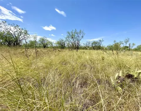 Tbd Cr 137, Abilene, TX 79601