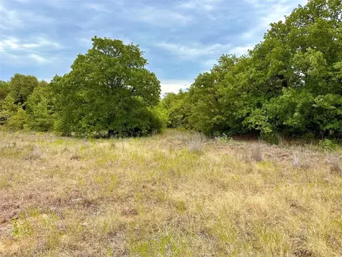 Tbd3 Dps Tower Rd, Perrin, TX 76486 photo 15