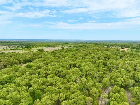 Tbd3 Dps Tower Rd, Perrin, TX 76486 photo 11