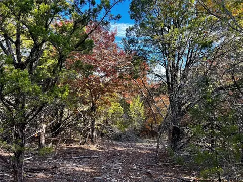 Tbd3 Dps Tower Rd, Perrin, TX 76486 photo 6