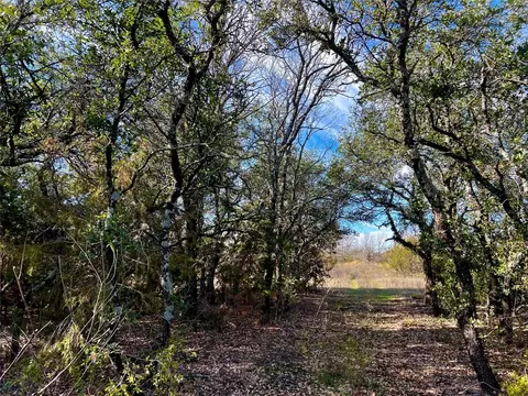 Tbd3 Dps Tower Rd, Perrin, TX 76486 photo 4