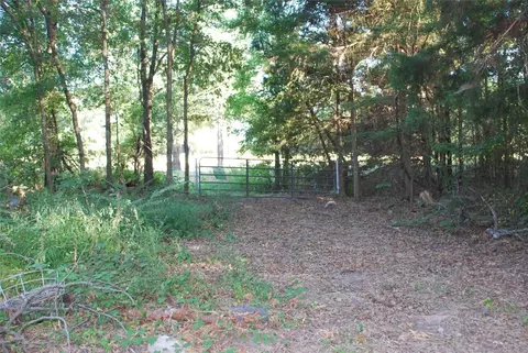 562 Private Road 7370, Point, TX 75472 photo 9