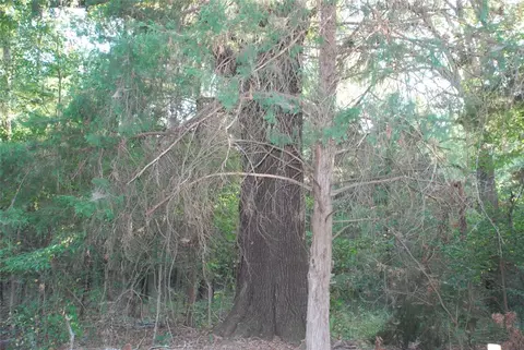 562 Private Road 7370, Point, TX 75472 photo 5